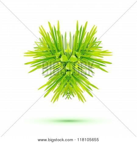 Modern triangular label with green grass