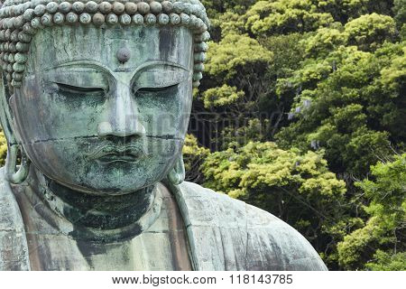 The Great Buddha (daibutsu) On The Grounds Of Kotokuin Temple In Kamakura, Japan.