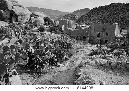 Rocks In Tafroute