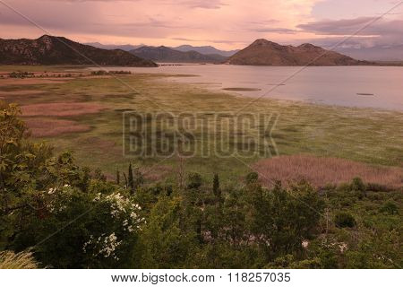 Europe Balkan Montenegro Skadar Lake