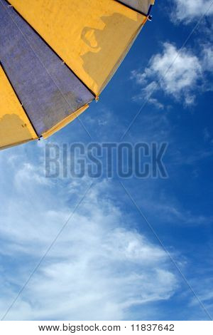 Barevný slunečník