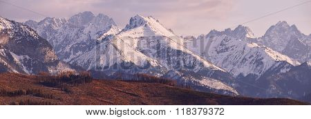 Panorama Of Snowy Tatra Mountains In Spring, South Poland