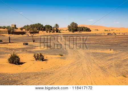 Palm Trees And Sand Dunes In The Sahara Desert, Merzouga, Morocco