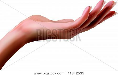 hand2