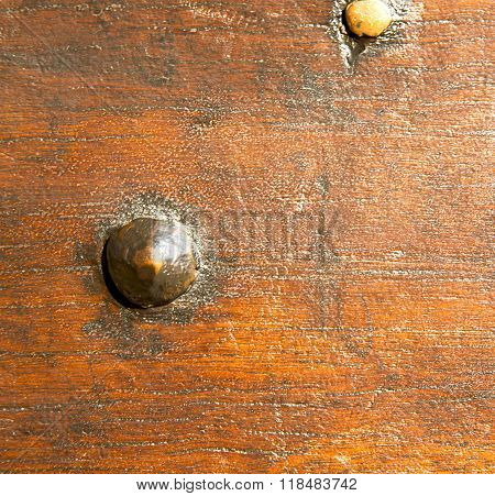 In Mozzate   Brass Brown  Wood Italy  Lombardy   Milan