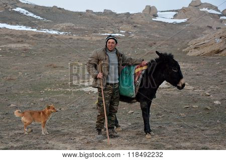 Azerbaijani shepherd next to donkey with dog