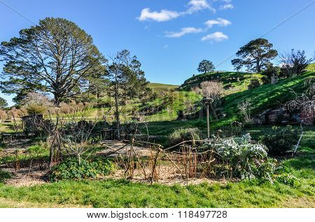 View Of The Village In Hobbiton, Matamata, New Zealand