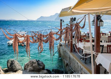 Drying octopus arms at Greek tavern on Santorini island, traditional greek seafood prepared on a gri