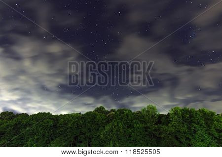 Starry Night, White clouds, many stars, green forest. Beautiful night
