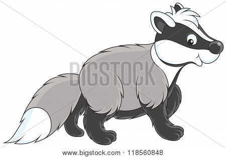 Badger
