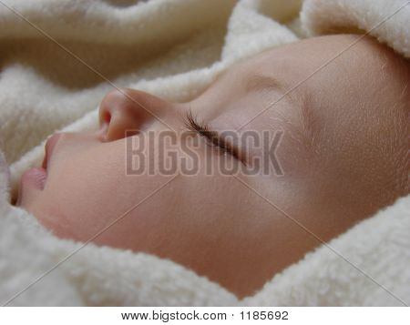 잠자는 미녀