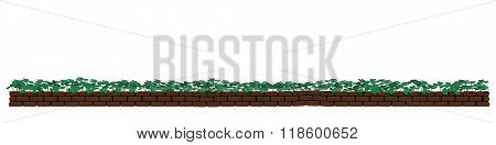 Shamrock Pattern