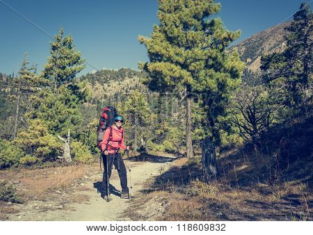 Yount femela trekker on her way through mountain forest.