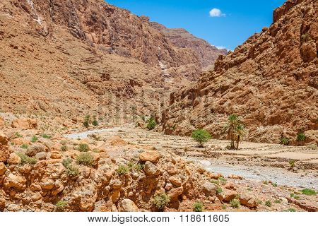 Todgha Gorge, A Canyon In The High Atlas Mountains In Morocco, Near The Town Of Tinerhir.