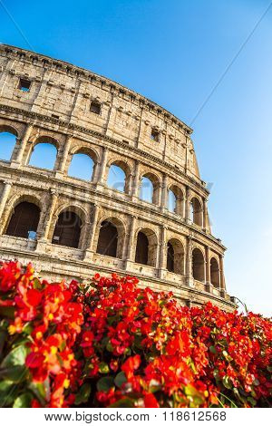 Colosseum In Rome