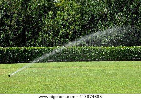 Watering In A Garden