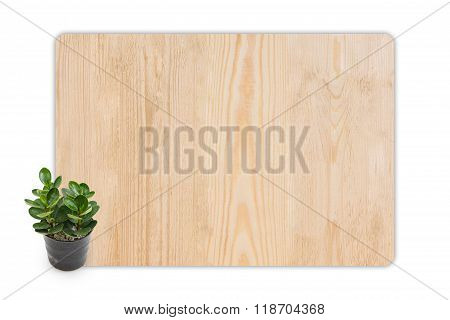 Rubber Plant (ficus) In The Small Pots On Wood Texture Background.