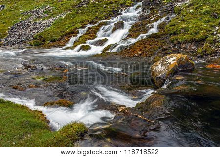 Mountain stream and meadow