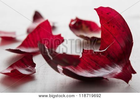 Red Onionskin On Table