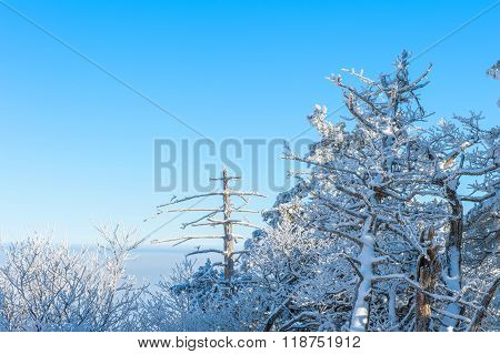 Deogyusan In Winter,korea