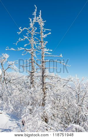 Deogyusan In Winter,korea