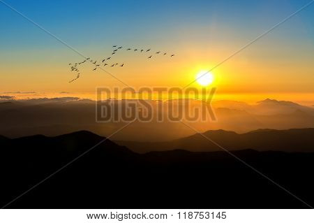 Sunrise With Beautiful Lens Flare And Silhouettes Of Birds At Deogyusan Mountains In Winter,south Ko