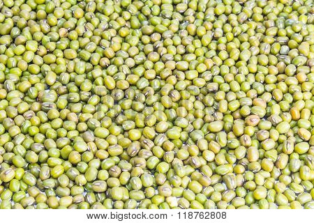 Mung Beans