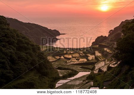 Sun and rice terraces