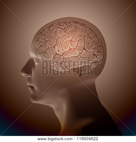 Abstract Human Head with a Brain.