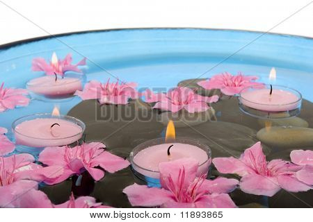 Fiori di oleandro rosa galleggianti sull'acqua