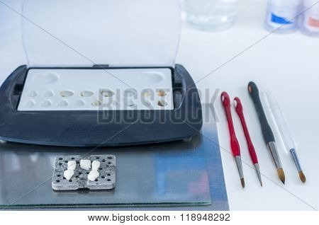 Teeth Of Ceramics Before Put Into Furnace.
