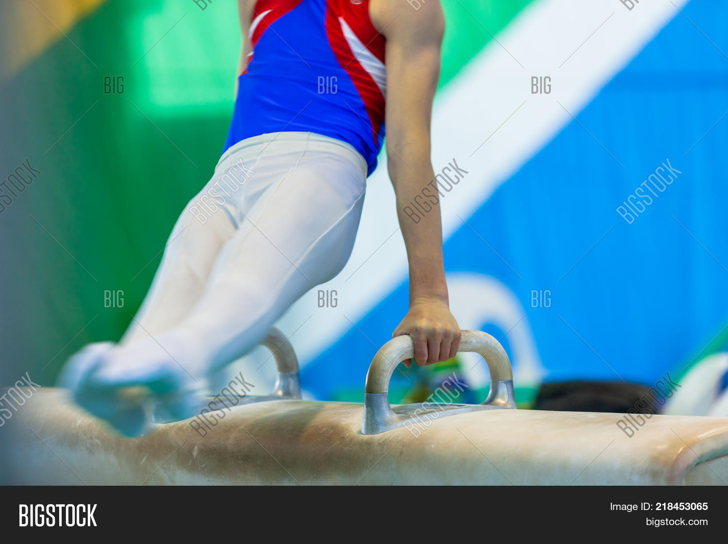Gymnast Ready Horse Image & Photo (Free Trial) Bigstock