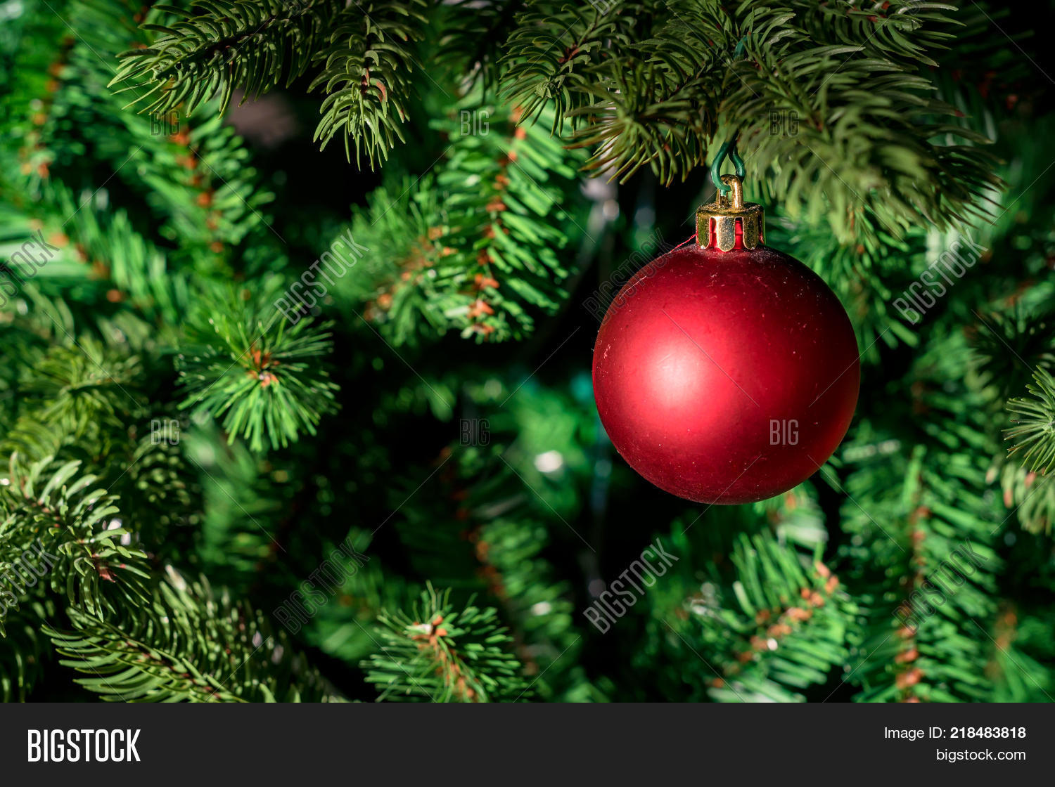 Close Up Of Small Red Decorative Ball Hanging On Christmas Tree Close Up Of Small Red Decorative Ball Hanging On Christmas Tree