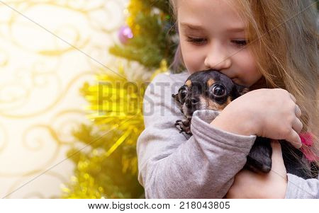 a little girl is kissing a dog. friendship with animals love of the dog