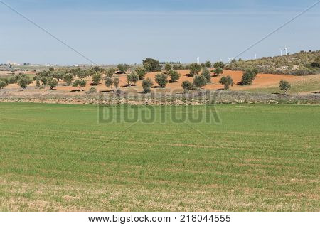 Agricultural mosaic landscape in Toledo Province, Spain