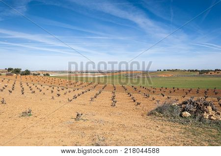 Agricultural mosaic landscape in Toledo Province, Spain