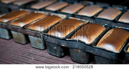 bread making factory fresh industry plant prepare