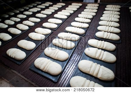 bread making factory fresh industry plant prepare
