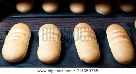 bread making factory fresh industry plant prepare