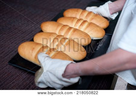 bread making factory fresh industry plant prepare
