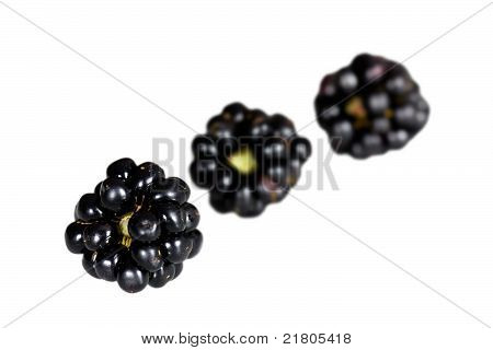 BlackBerry, Rubus fruticosus, una foto ravvicinata