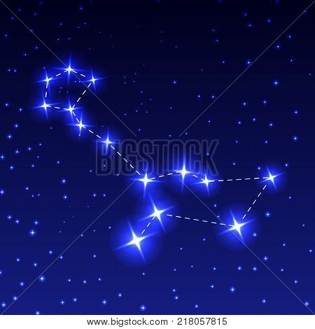 The Constellation Cetus in the night starry sky. Vector illustration of the concept of astronomy