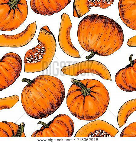 Vector hand drawn seamless pattern of pumpkins. Farm vegetables. Engraved colored art. Organic sketched objects. restaurant menu grocery market store party meal. Thanksgiving Halloween