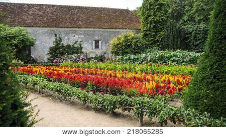 Flower Bed With Different Colors In Summer