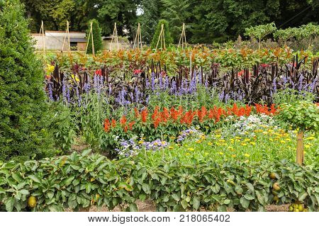 Flower Bed With Different Colors In Summer