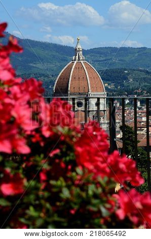 Red Azaleas with Cathedral of Santa Maria del Fiore in Florence on background. Bardini Garden, Italy