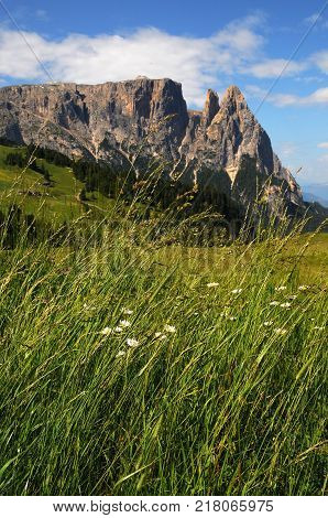 Beautiful landscape of Sciliar Group in the Dolomites as seen from Alpe di Siusi, Italy.