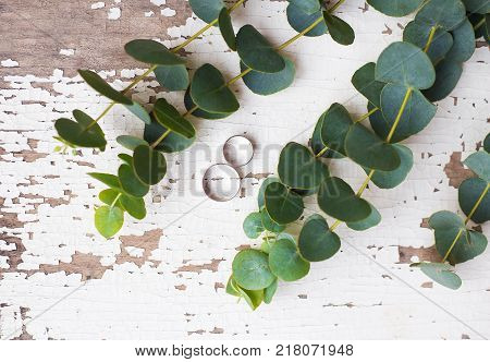 wedding rings on a white old table with a sprig of eucalyptus