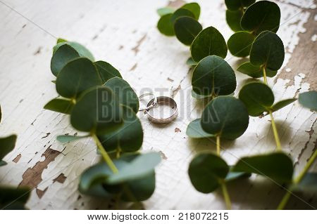 wedding rings on a white table with old eucalyptus twig, close-up