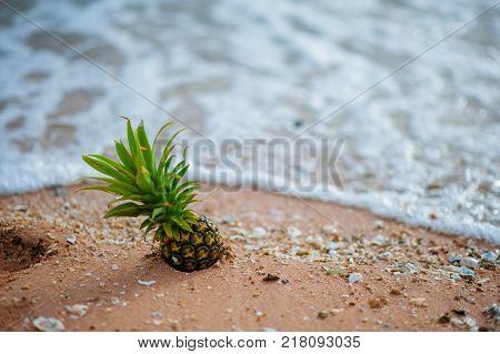 Pineapple on the beach.Tropical summer delights. Fresh pineapple on the beach.Pineapple on hawaii be